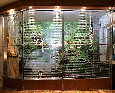 Indoor Aviary