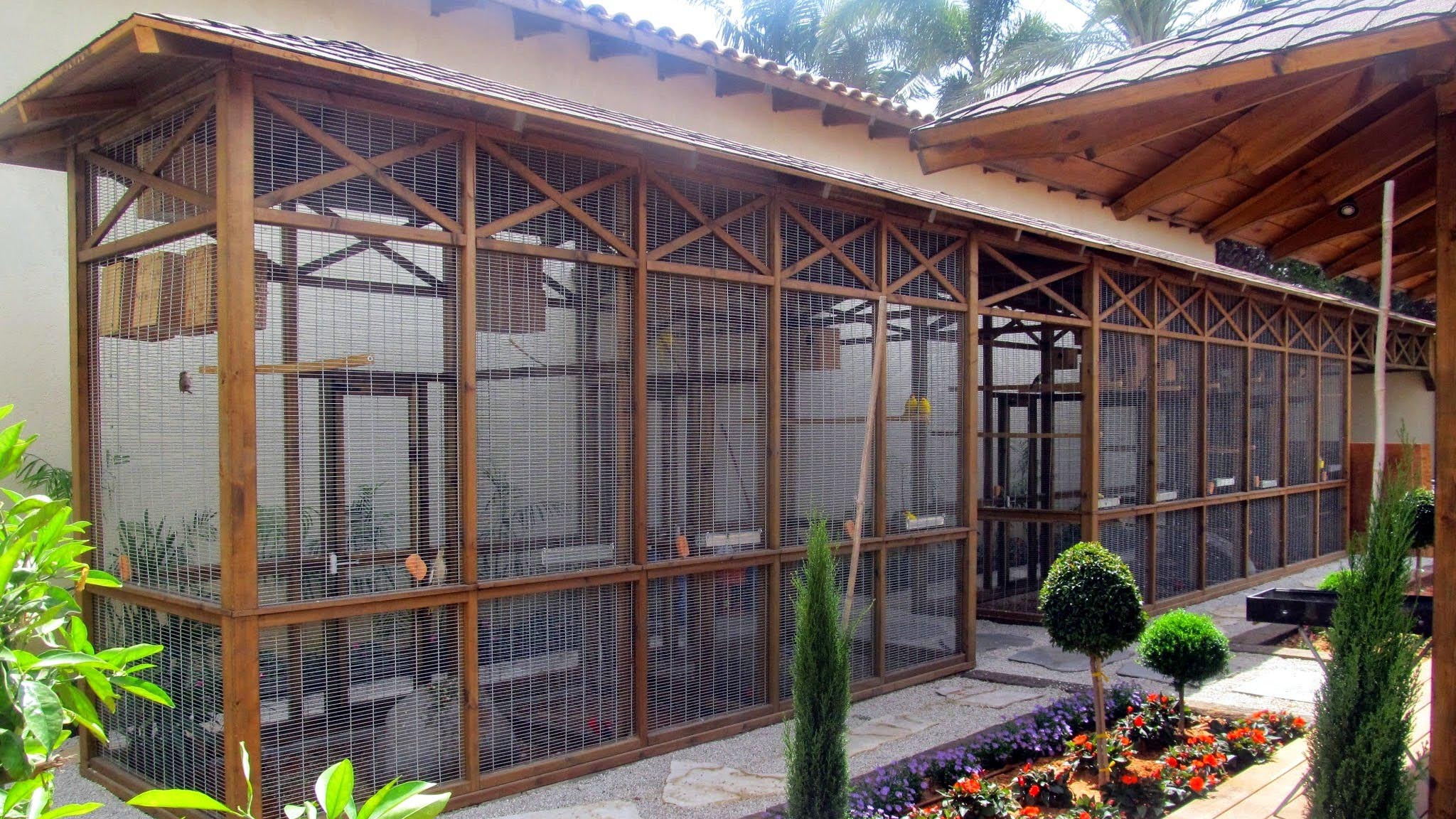 <p>Communal Outdoor Aviary</p>